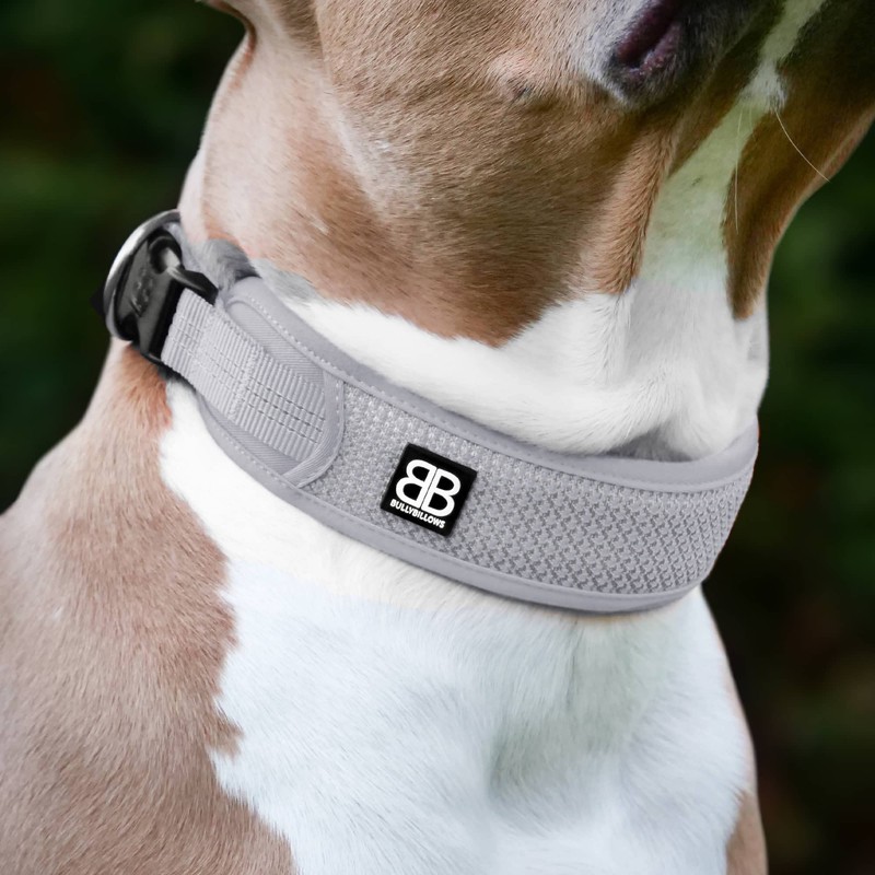 Active Light Cotton & Mesh Dog Collar, Lightweight and Adjustable,
