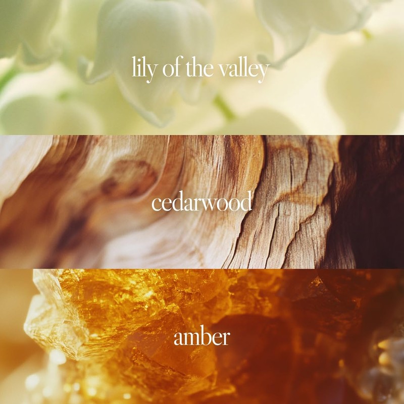 Noteworthy n,551 Amber Sunset Eau De Parfum – Lily of