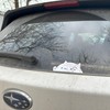Bongo Cat Cute Car Stickers, 5"x2" Funny Meme