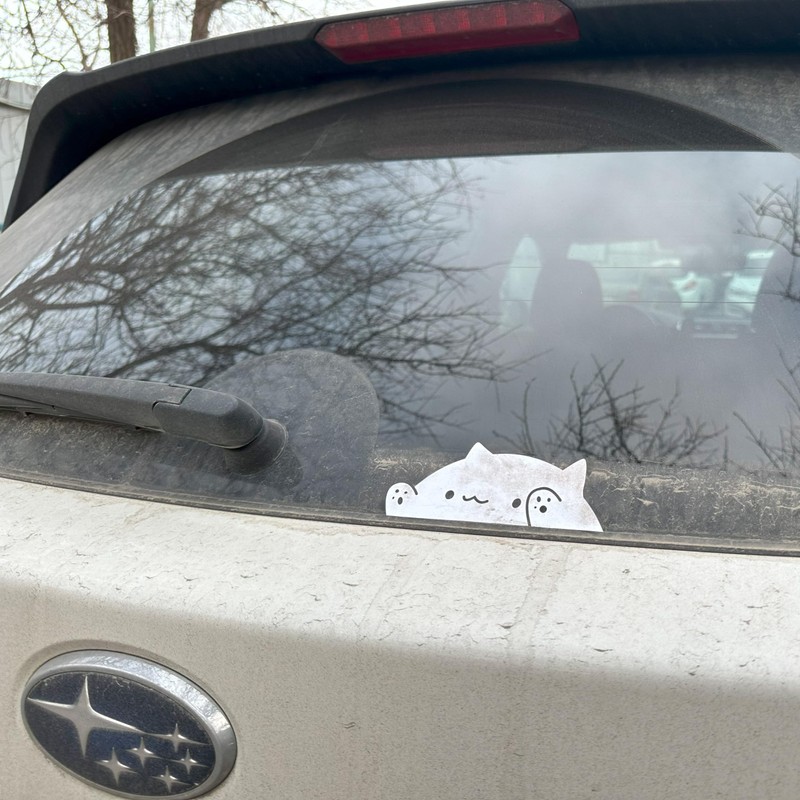 Bongo Cat Cute Car Stickers, 5"x2" Funny Meme