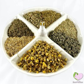 Food4Buns Immune Kicker Mix 2, 4, 8 oz, Bunny Rabbit Guinea Pig Chinchilla Hamster Degu - 4 oz