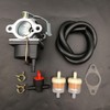 LIZAPUS Carburetor Carb Compatible with Coleman Powermate 5500 watt Generator