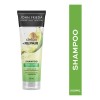 John Frieda Detox And Repair Shampoo 250 Ml