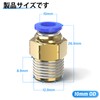 TAILONZ PNEUMATIC Male Straight 10mm Tube OD x 1/4 Push