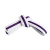 Mastery Tiny Tigers (White Belt/Purple Stripe, 0)