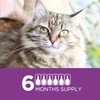 TevraPet Actispot II Flea Treatment for Small and Medium Cats