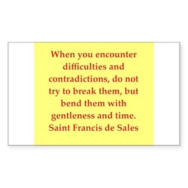 CafePress Fd199 Rectangle Bumper Sticker (10-Pack), Car Decal