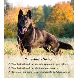 Organimal Senior Dog - Natural Supplementary Feed for Older Dogs - Glucosamine, Chondroitin, MSM & Vitamins for Dogs - Supports Muscles & Joints, Memory & Heart, Digestion