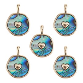 COGCHARGER 5 Pieces Round Paua Shell Charms Abalone Shell Charms Pendant Natural Shell Pendant for Jewelry Necklace Earring Making Crafts