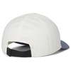 Arc'teryx Bird Word Cap | Arctic Silk/Stratus, Small Medium