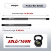 Vepagoo C16-09209 16 inch 38 Lbs/169 N Gas Shocks Struts