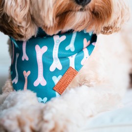 Paws Boutique Premium Dog Bandana/Scarf | Design: Barking for Bones | Reversible Dual Layered/Sided | Small, Medium & Large Pets | Unique Style | Accessories for Puppies & Dogs (S)