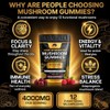 Mushroom Gummies 4000mg – 12 Functional Mushroom Complex with Lions