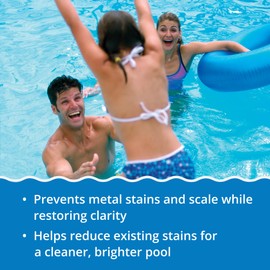 In The Swim Stain Away for Above Ground and Inground Swimming Pools - Removes Mineral Stains from Iron, Copper, and Magnesium in Swimming Pools - 1 Quart - 2 Pack