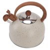 Whistling Kettle 2.5L Capacity Stainless Steel Stovetop Teapot for Water