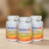 Lactiv Gb(3 Pack)30capc/u Lactobacilos Probioticos Vitamina
