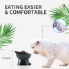 Nihow Slanted Elevated Cat Bowls: 5 Inch Ceramic Raised Cat