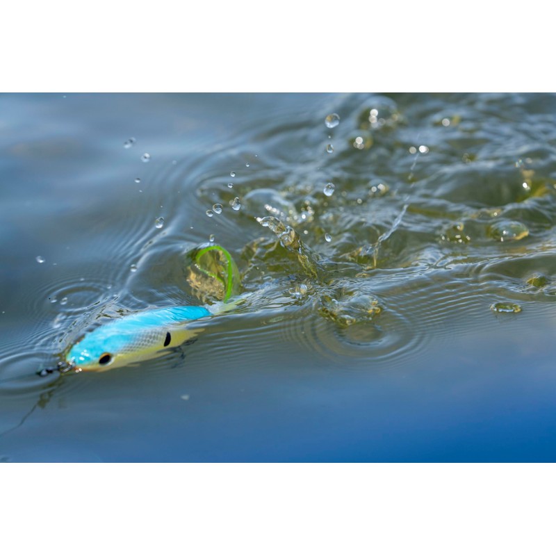 Berkley Choppo Topwater Esca da pesca | Esca facile da