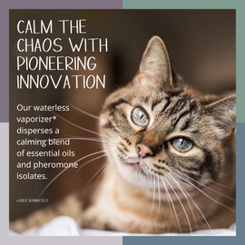 Tranquil Tails Aromatic Pheromone Refill Pads for Cats, Woodland Whiskers Scent, Pack of 7 Pads, Made in The USA