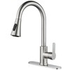 Kohonby Single Handle Kitchen Faucet with Pull Down Sprayer Modern