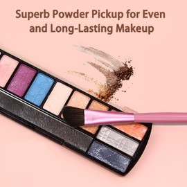 AmiCera Travel Makeup Brushes, 5Pcs Eyeshadow Brushes, Nose Contour Eye Shadow Eyebrow Lip Make Up Brush Set with Tubing Case, Small Portable, Soft Bristle, Professional Makeup Tools, Pink