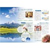 Alpine Salts Paper Drum 17.6 oz (500 g) (8.8 oz