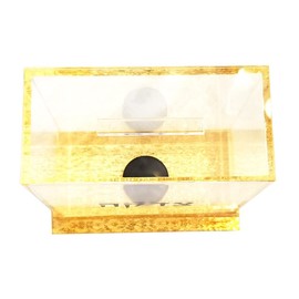 Judaica Place Clear Lucite Tzedakah Box Designed with Gold Glitter Base and Border On Bottom - Charity Coin Collection Box - 6.25 Inch Pushka Box
