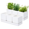 D'vine Dev Herb Garden Planter Set, Plastic Plant Pots with