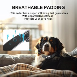 Ericfavre Airtag Dog Collar, Reflective Dog Collar with Airtag Holder, Comfortable Padded and Adjustable Airtag Dog Tracking Collar with Airtag Dog Collar Holder for Small Medium Large Dog (Beige, M)