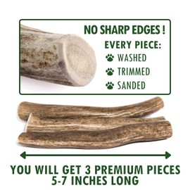 Wildeers Premium Deer Antlers for Dogs - Dog Antler Chews - Made in USA, Naturally Shed, Healthy Treat - Grade A, 5-7 in, 3 Pieces, Long Lasting Antler Chew Bones for Aggressive Chewers (Medium)
