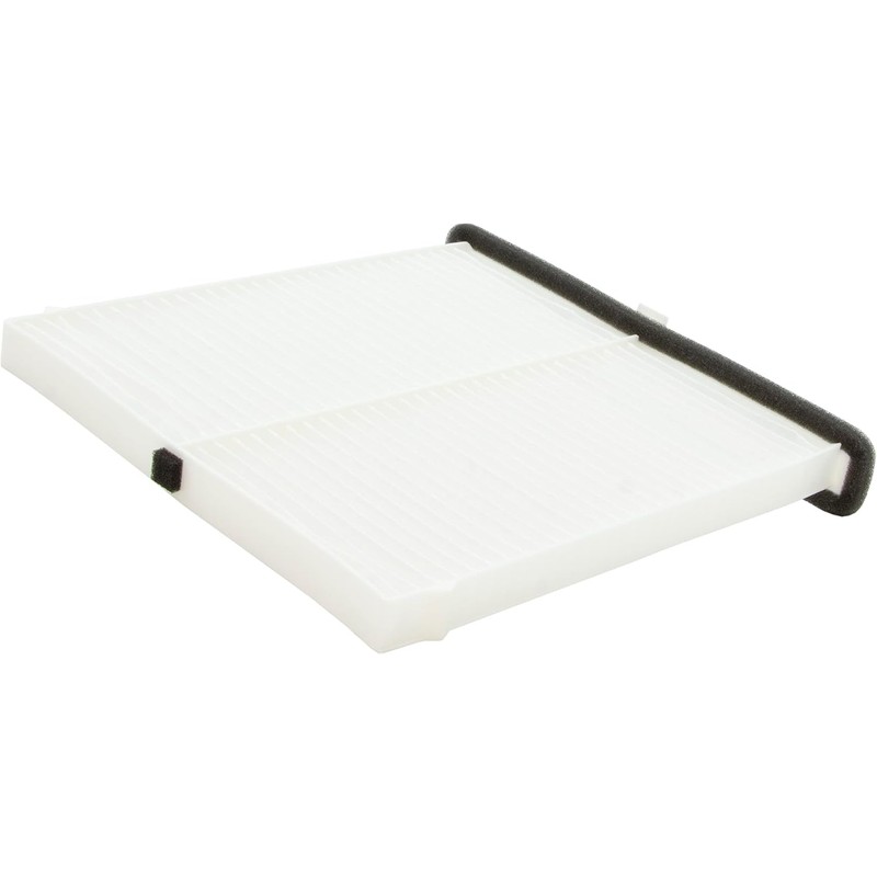 Ecogard XC10189 Filtro de aire de cabina premium para coche