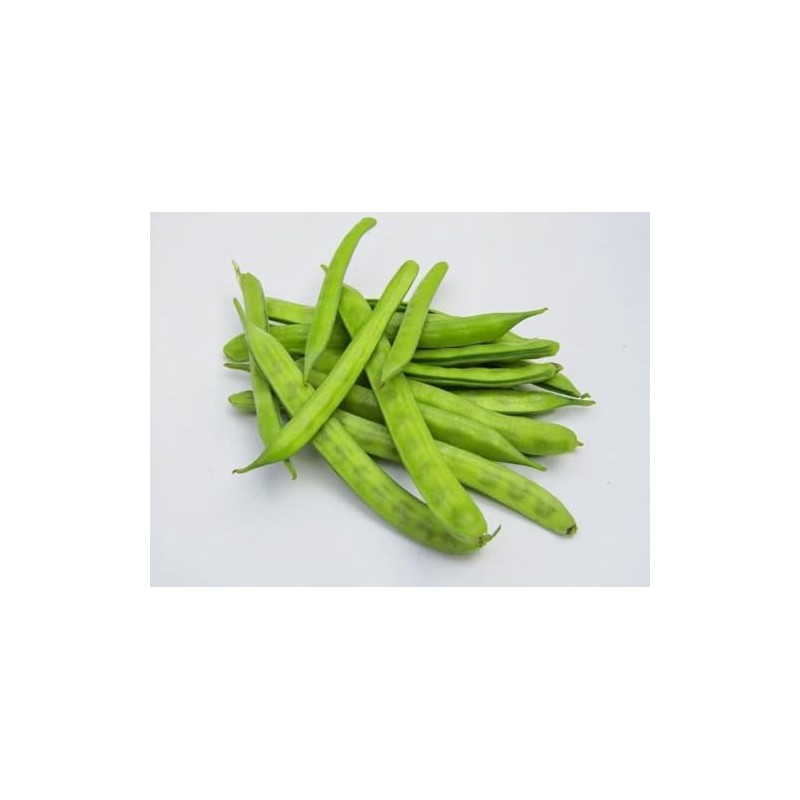 30 Cluster Beans Seeds, Non-GMO, Heirloom, High Yield for Canadian