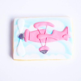 ½ Dz. Vintage Sky Plane Cookies! Magic and Adventure High in the Air! Birthday Themed, Bridal Shower Party Favors or Baby Gift!