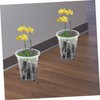 BESPORTBLE 6 Pack Orchid Pots Breathing Planters for Orchids Plants