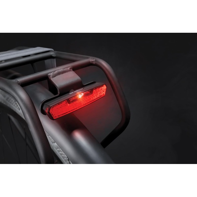AXA , Juno E-Bike E6-12 V 80 mm