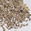 Fairy7Seas Echinacea Seeds - Echinacea Purpurea- Coneflower, Lustre Hybr. Mix