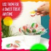 Sunny Island Fruit Lollipops | 1 Pound Bag, 40 Count