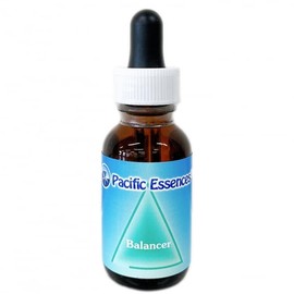 Shaft Balancing Essence