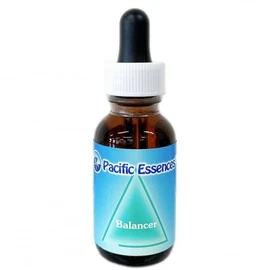 Shaft Balancing Essence