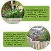 Backyard X-Scapes Natural Eucalyptus Wood Solid Log for Garden Edging