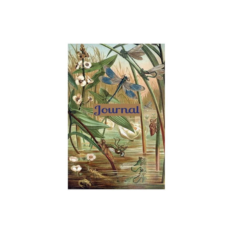 Journal