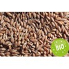 Organic Spelt Cushion 7 Chamber with Band, 65 x 15