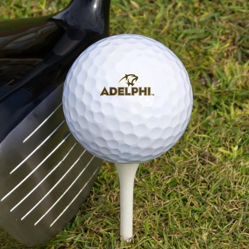 GRAPHICS & MORE Adelphi University Novelty Golf Balls 3 Pack