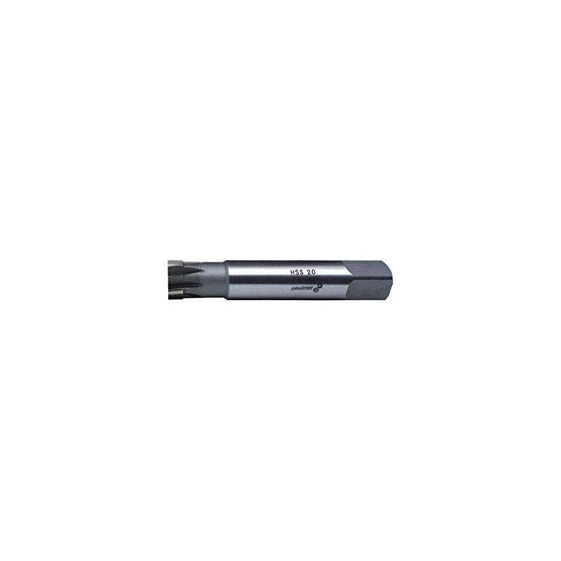 PAULIMOT HSS Hand Reamer 20 mm Fit H7