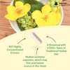 Mullein Leaf Extract for Lungs 15,000mg – High Strength 50:1