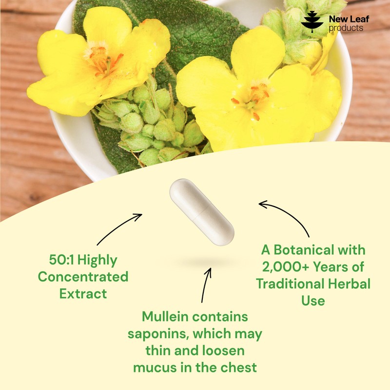 Mullein Leaf Extract for Lungs 15,000mg – High Strength 50:1