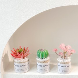 JEVA 3Set Artificial Succulent Plant with Glass Small Fake Plants for Room Decor Aesthetic Living Room Decor