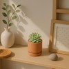 2-Pack Terracotta Plant Pots with Saucers, 3 Inch, 40-X-B-0