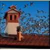 Ankuce Cone Top Chimney Cap, RoundChimney Cover Cap Outside Roof