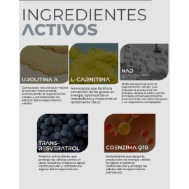 Urolitina A 250 Mg  Nad  Resveratrol Vitalidad Y Energa Coenzima Q10 L-carnitina Antioxidante 60 Capsulas Energia Celular Frmula Premium Longevidad...